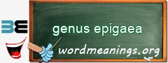 WordMeaning blackboard for genus epigaea
